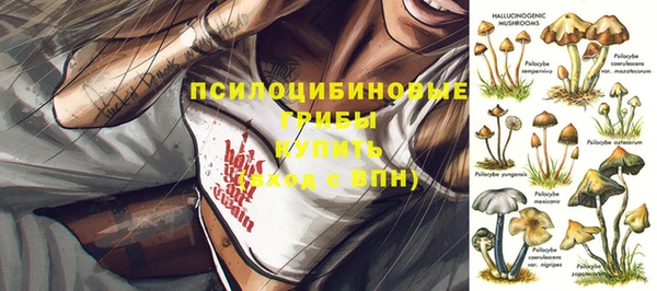крисы Абинск