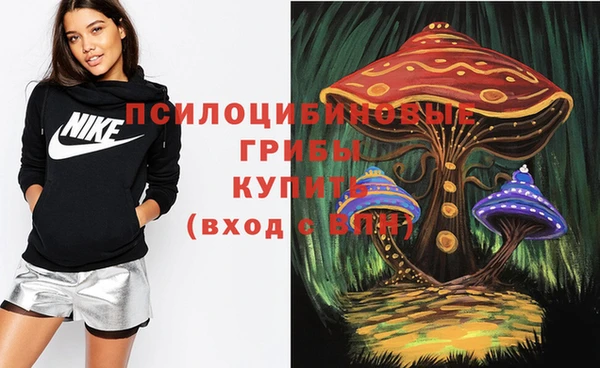 крисы Абинск