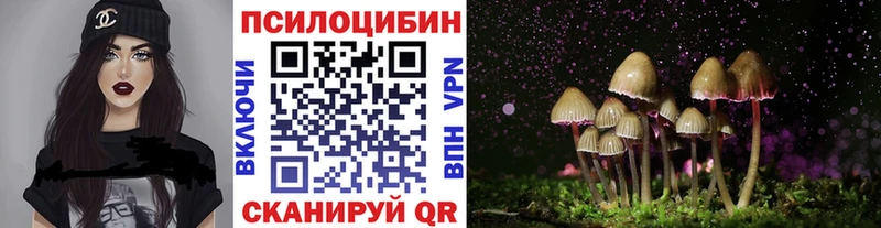 Псилоцибиновые грибы Psilocybine cubensis Шиханы